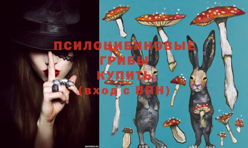 Псилоцибиновые грибы Psilocybine cubensis Мценск