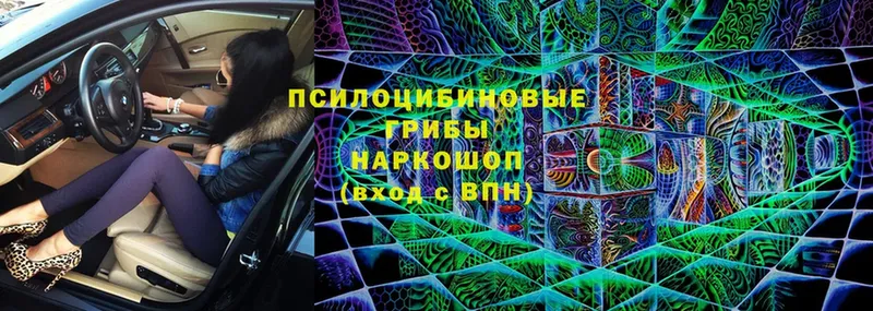 Псилоцибиновые грибы Magic Shrooms  цена   Мценск 